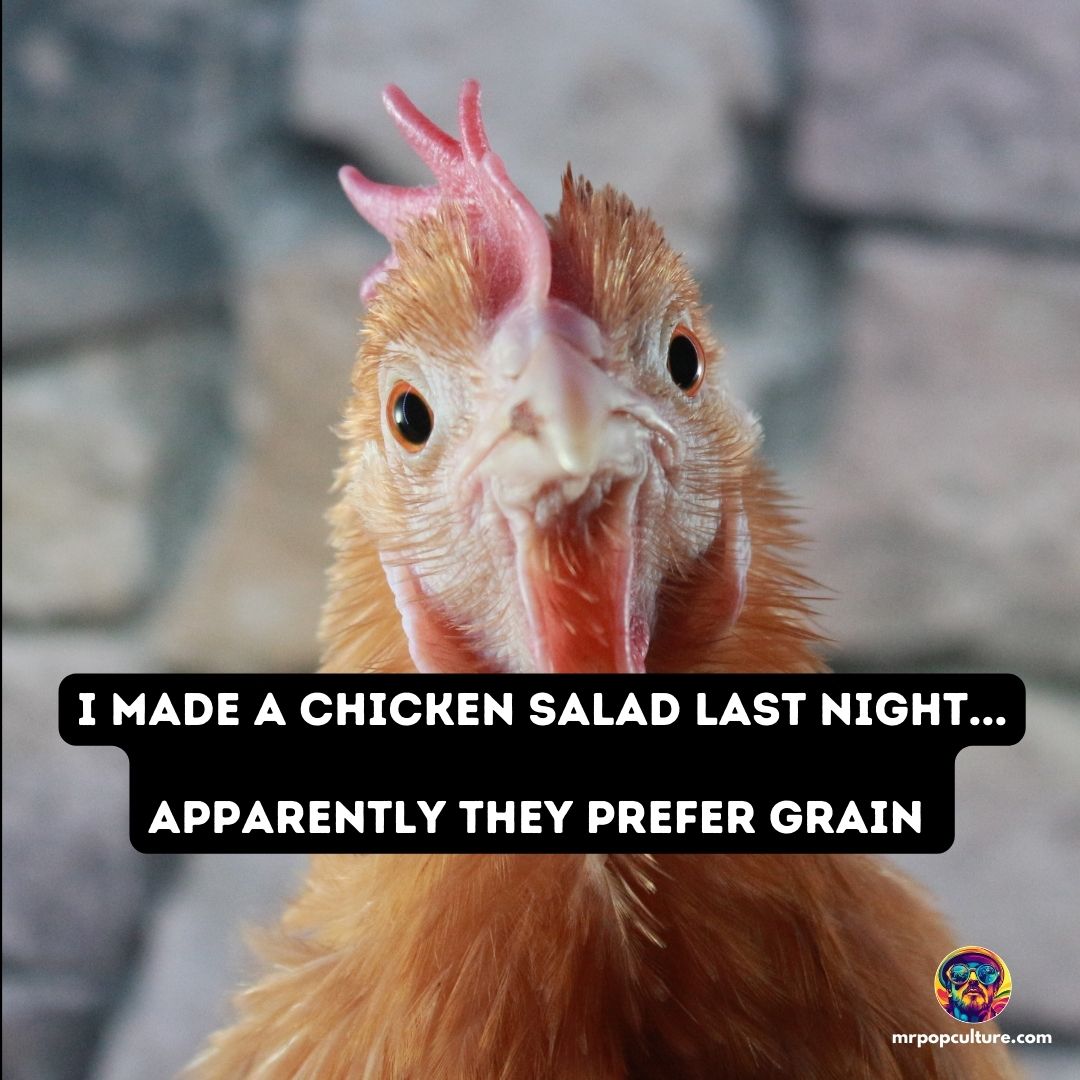 itsmrpopculture's tweet image. That seems awfully picky to us... eat your vegetables! 😂 😂 😂

#whydidthechicken #dadjokes #badjokes #baddadjokes #memes #memesdaily #mrpopculture #popculture