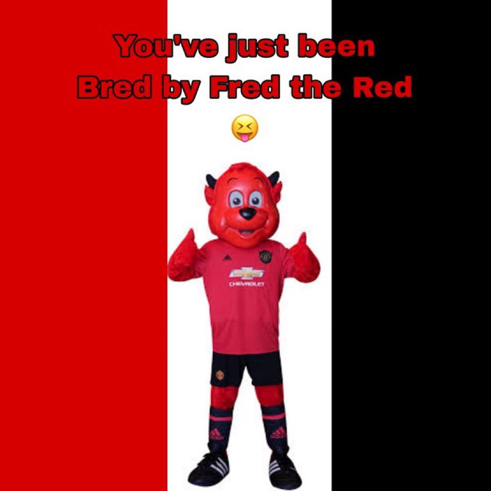 No Context Manchester United (Fan) tweet media