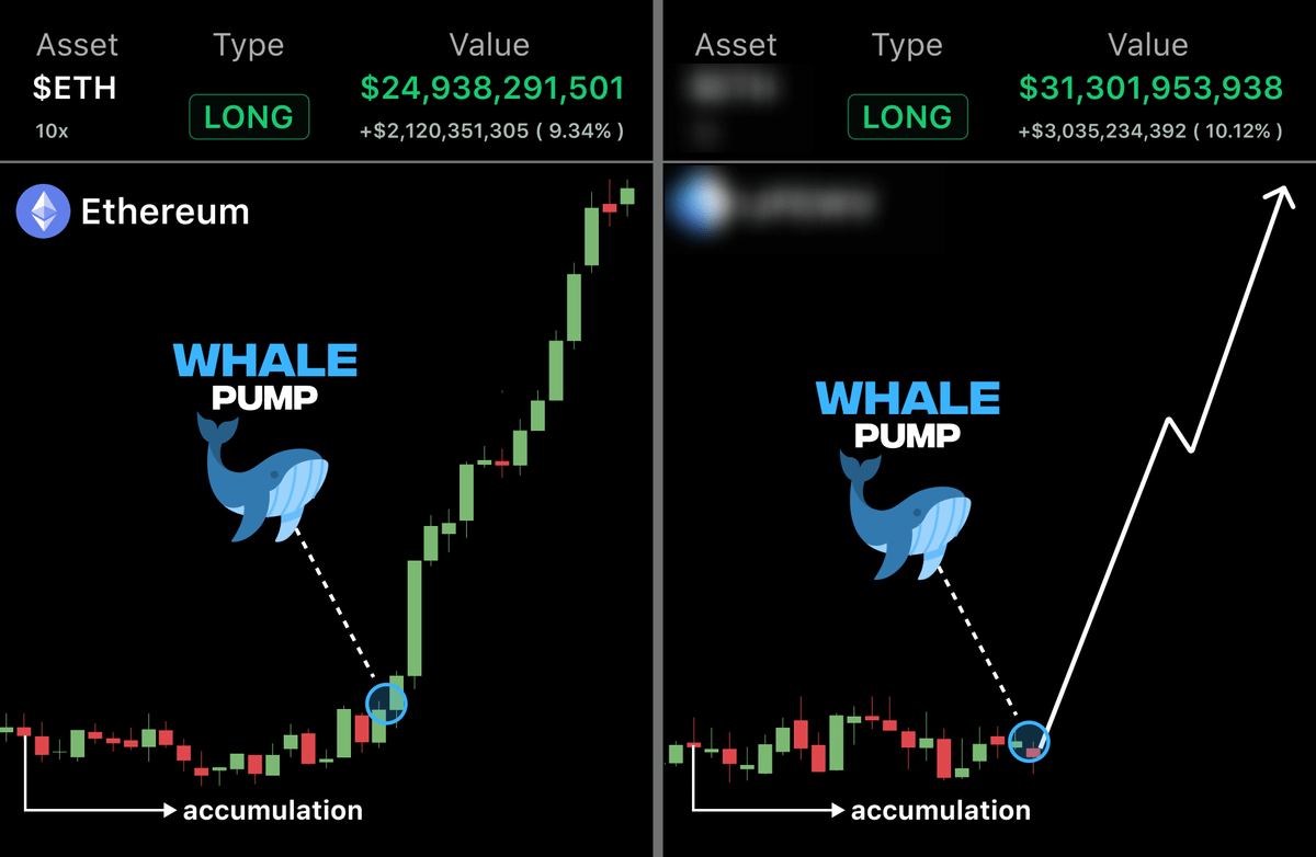 ardizor 🧙‍♂️ tweet media