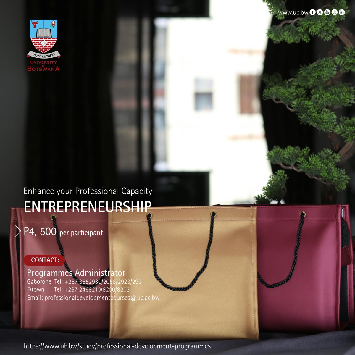 UBBotswana's tweet image. #ProfessionalDevelopmentCourse
ENTREPRENEURSHIP
Date: 22nd – 26th September 2025 | Venue: Venue: University of Botswana, Gaborone.
#EnrolNow: ub.bw/study/professi…