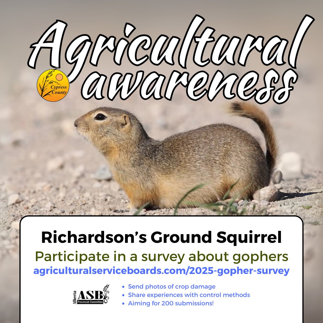 🌾Have gophers given you grief lately? Alberta's Agricultural Service Boards want to hear from you.

Visit the survey page at agriculturalserviceboards.com/2025-gopher-su…

#AgricultureAwareness #CypressCounty