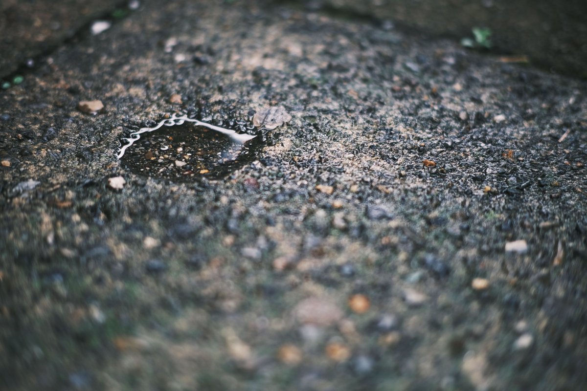 よく泣いた日でした…