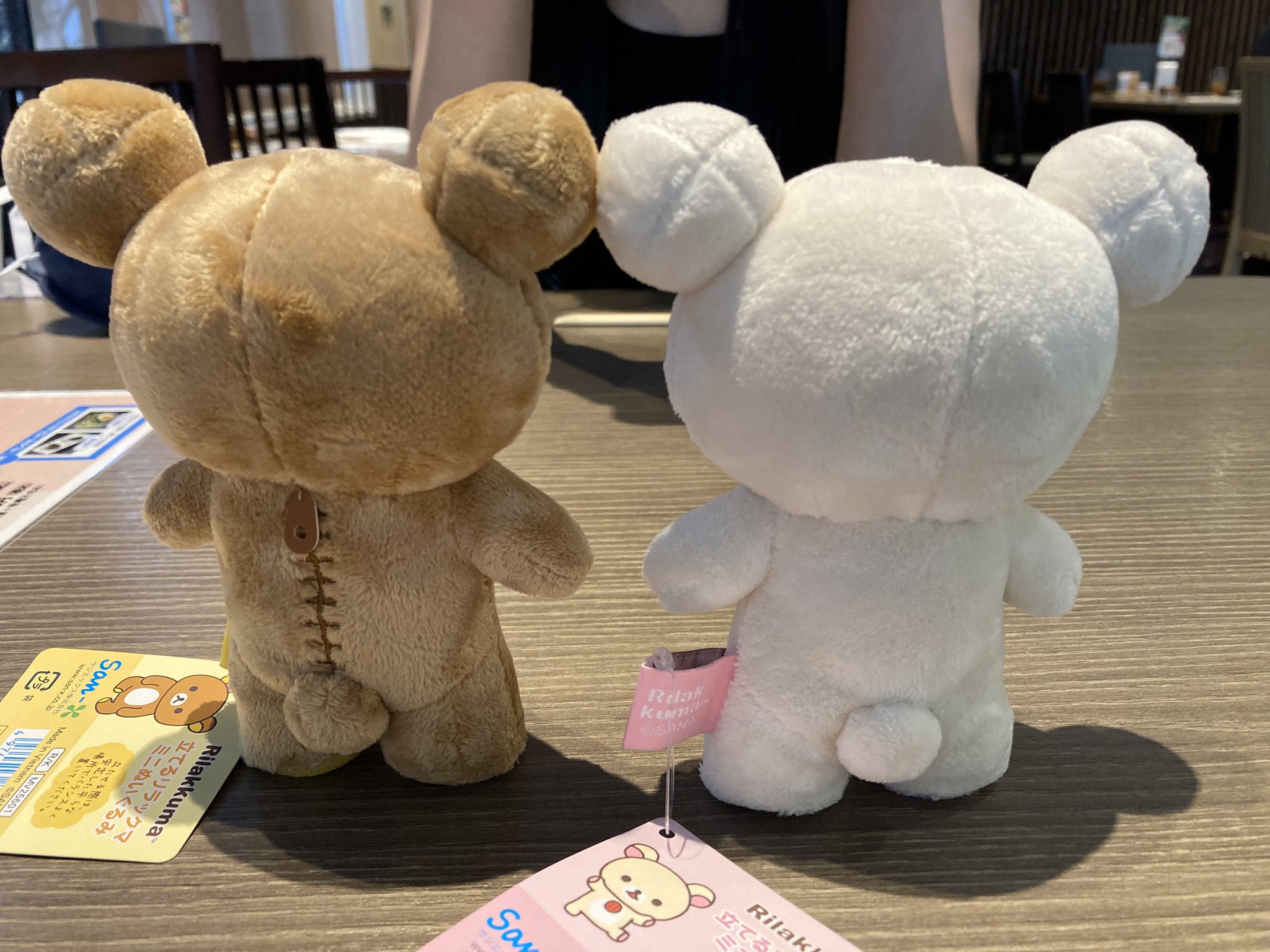 りらっクマ様　　　カイドウ リラックマ 2024年11月発売予定 アオコグのおとまり