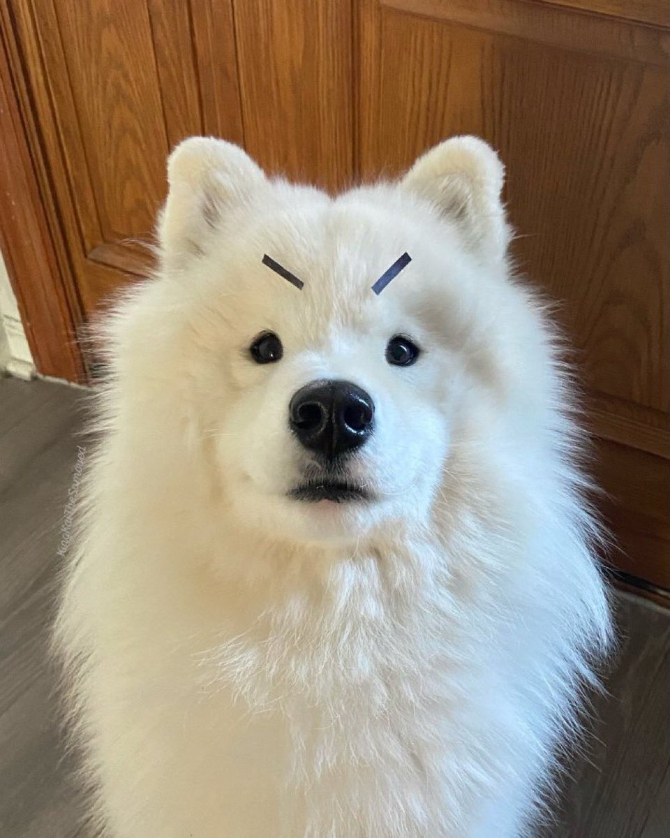 mayෆ⸒⸒ (@mayminjefan) on Twitter photo 