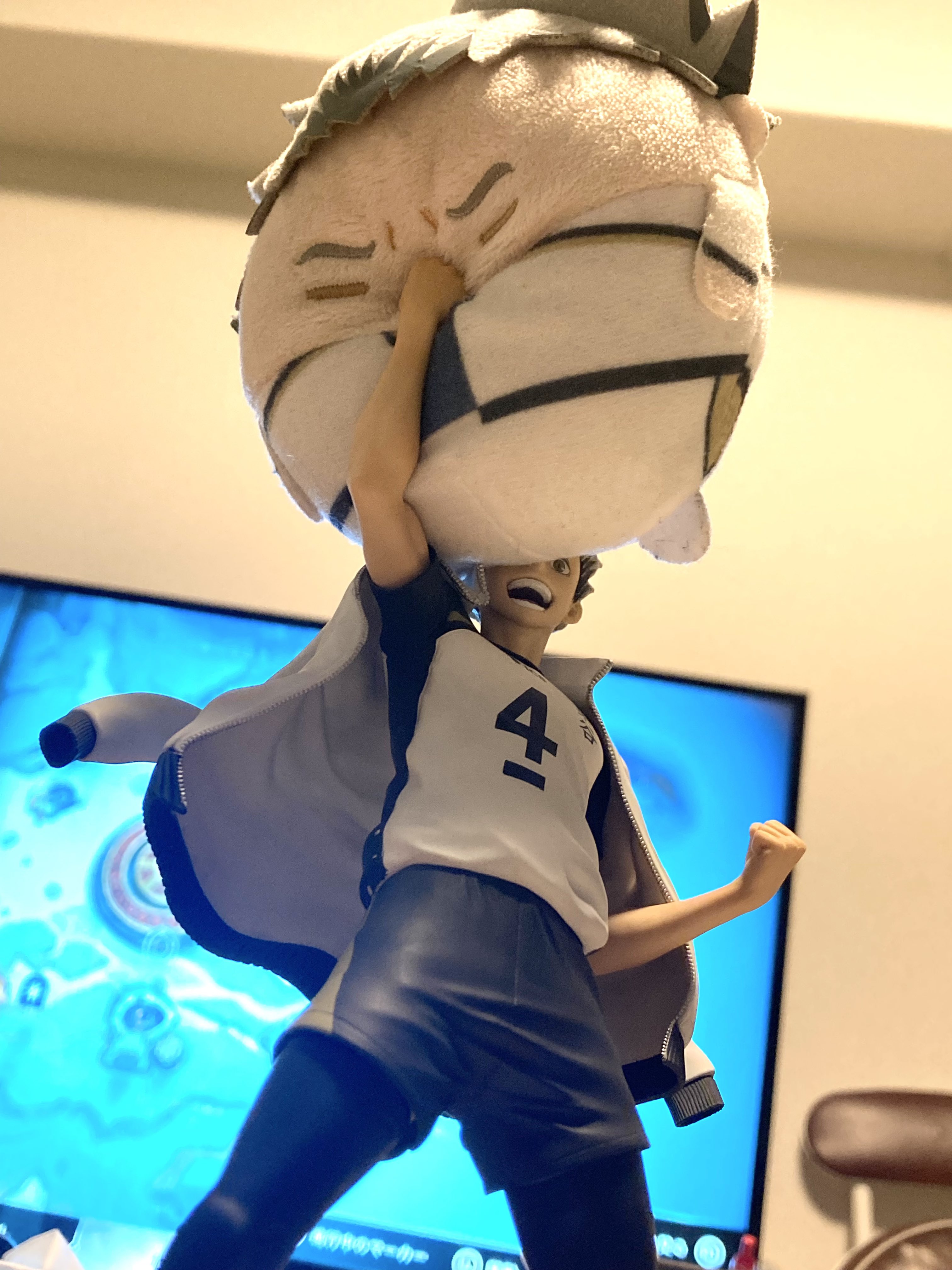 ラクちゃん🦉 (@Luoooxl) / X