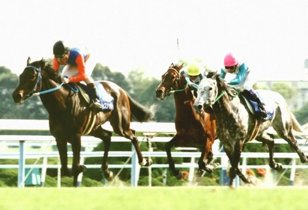 Rice Shower with his jockey Hitoshi Matoba at the 1993 Tenno Sho
Here he is seen running past Mejiro Mcqueen