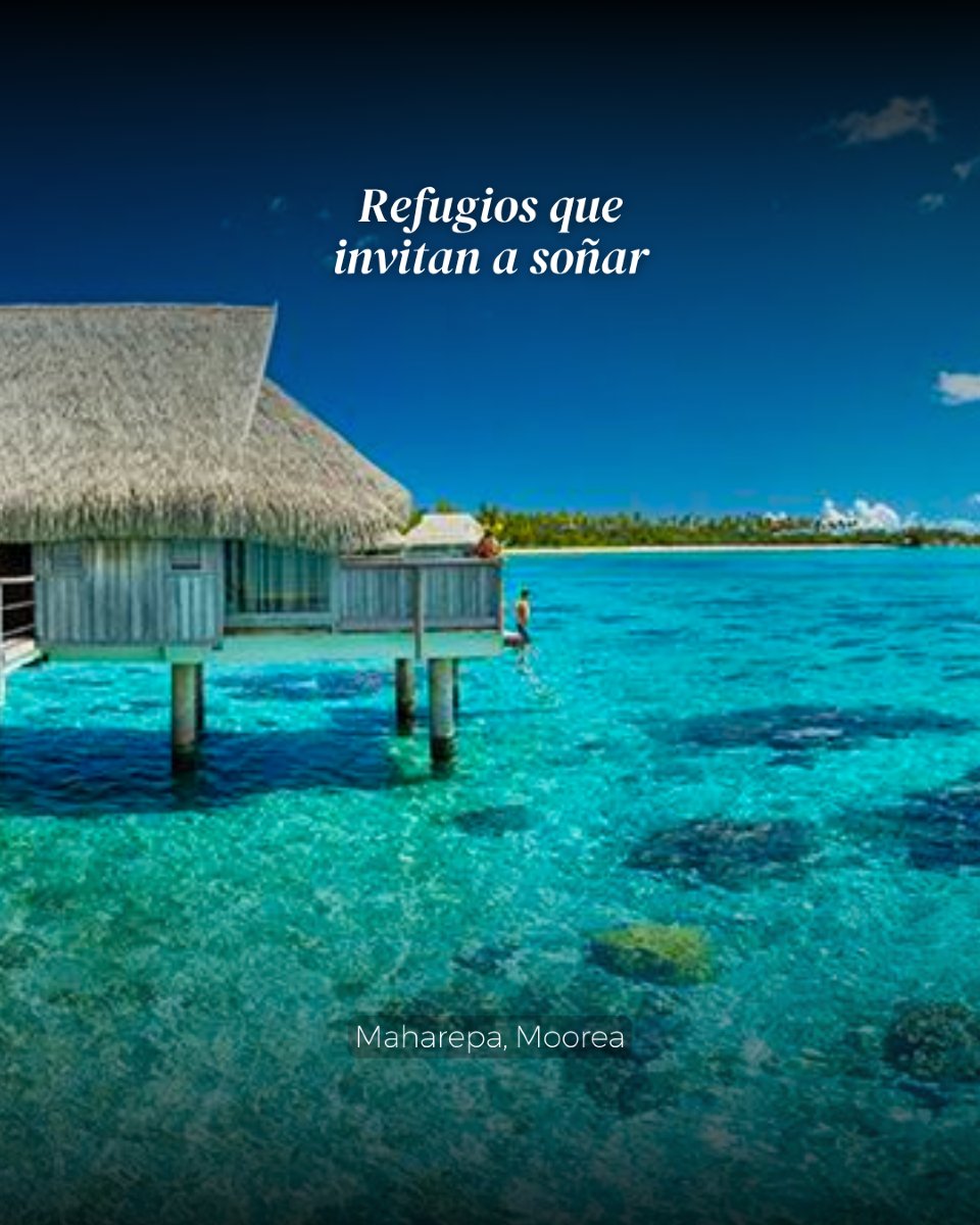 CTSCollection's tweet photo. Polinesia Francesa: donde el lujo se mezcla con la esencia pura del Pacífico. Cada instante es una invitación a sentir, conectar y simplemente… flotar. CTS Collection. Viajar con propósito.

#CTSCollection #PolinesiaFrancesa #LuxuryEscapes #TravelersExperience https://t.co/Y8VpXt2k9y