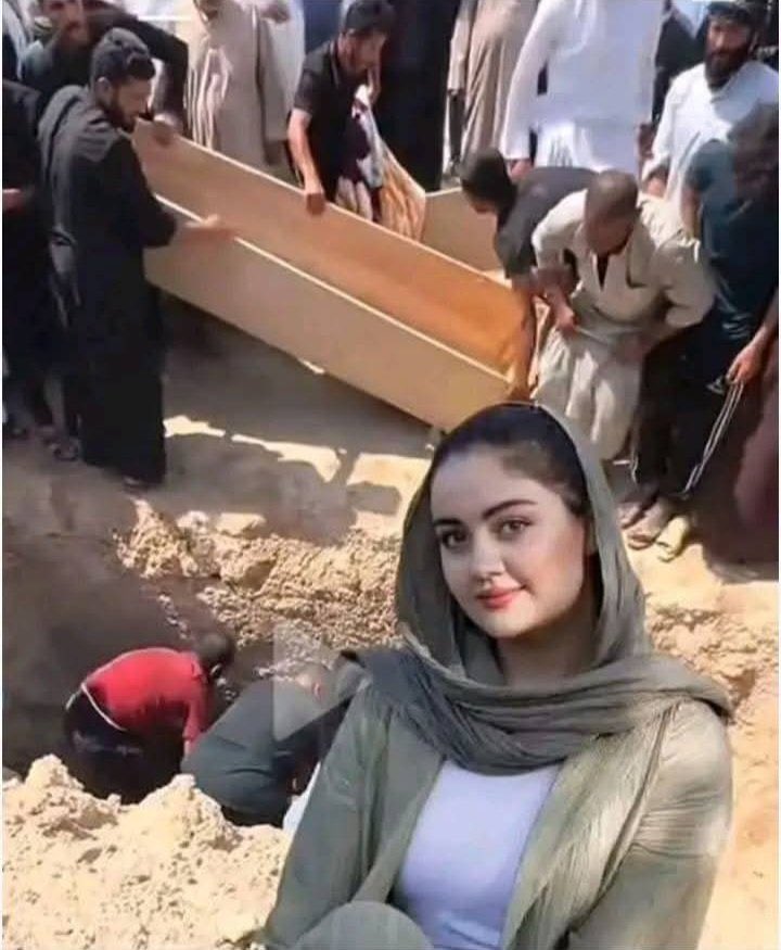Haneen Ali tweet media