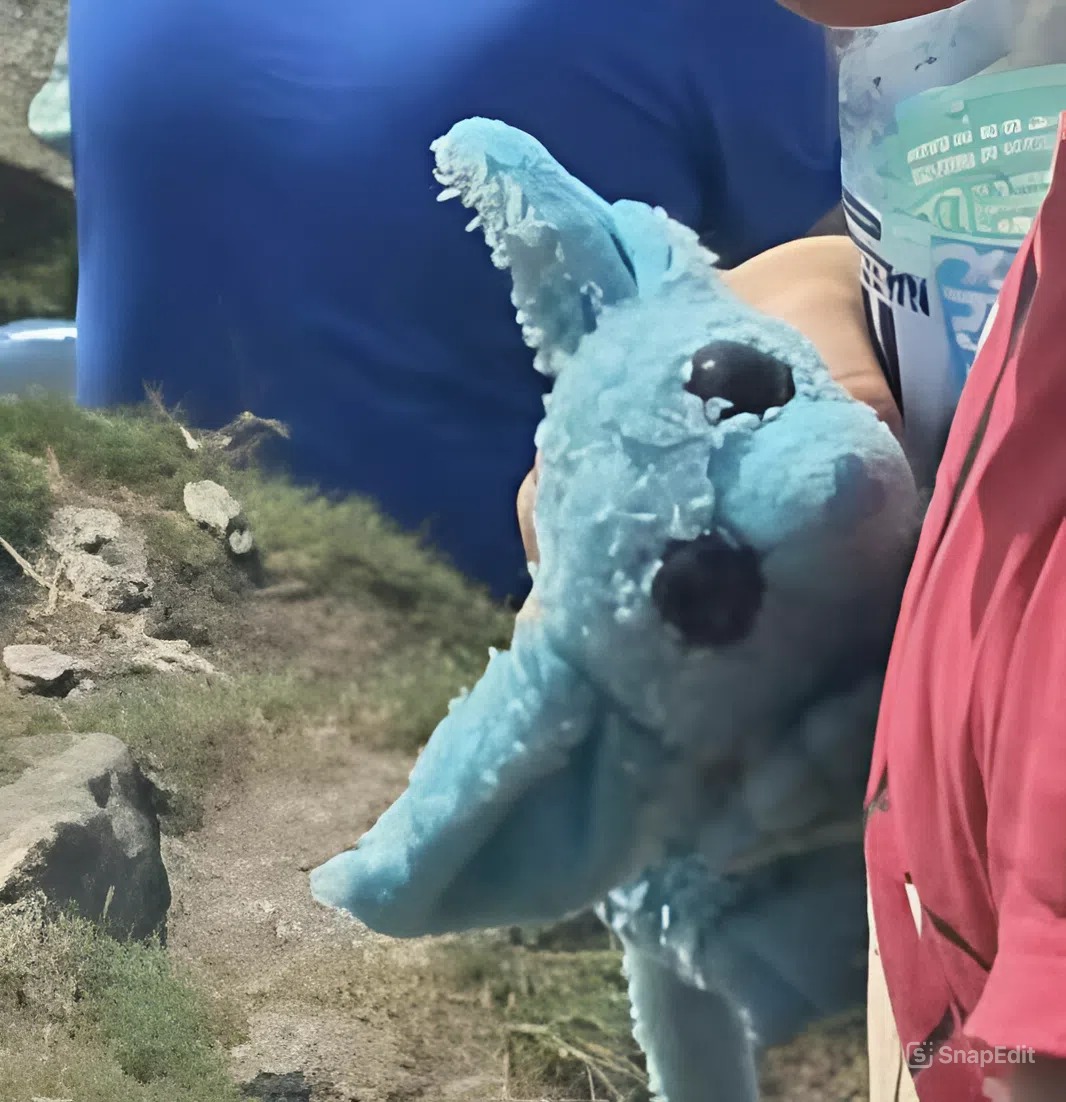 Našli jste 15. srpna nebo později v lokalitě Skalního stolu v Krkonoších modrého plyšového netopýra? Pokud ano, prosíme vás, předejte ho na nejbližší stanici Horské služby. Má sentimentální význam pro jeho malou majitelku, která ho vytrousila během výletu. Děkujeme!