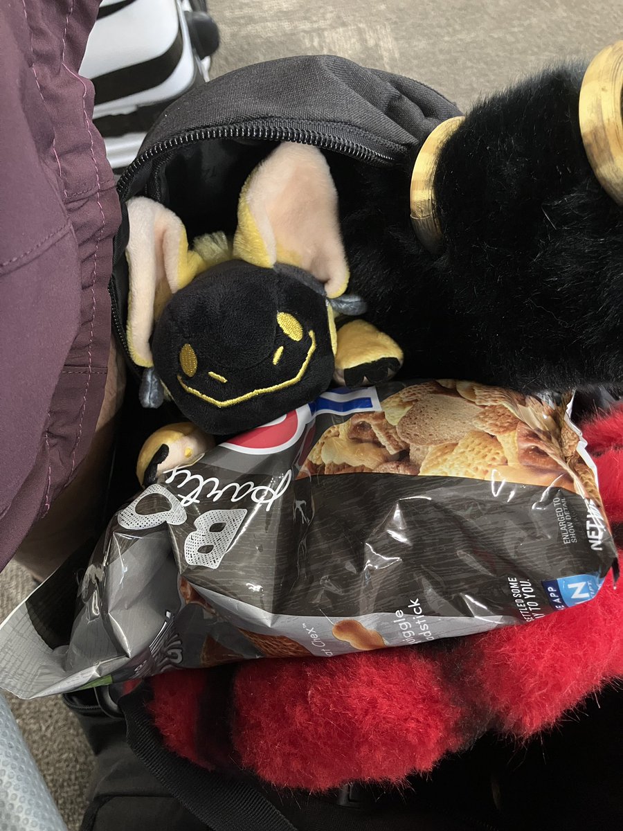 Ashvejlou 🔜 Adventures? tweet media