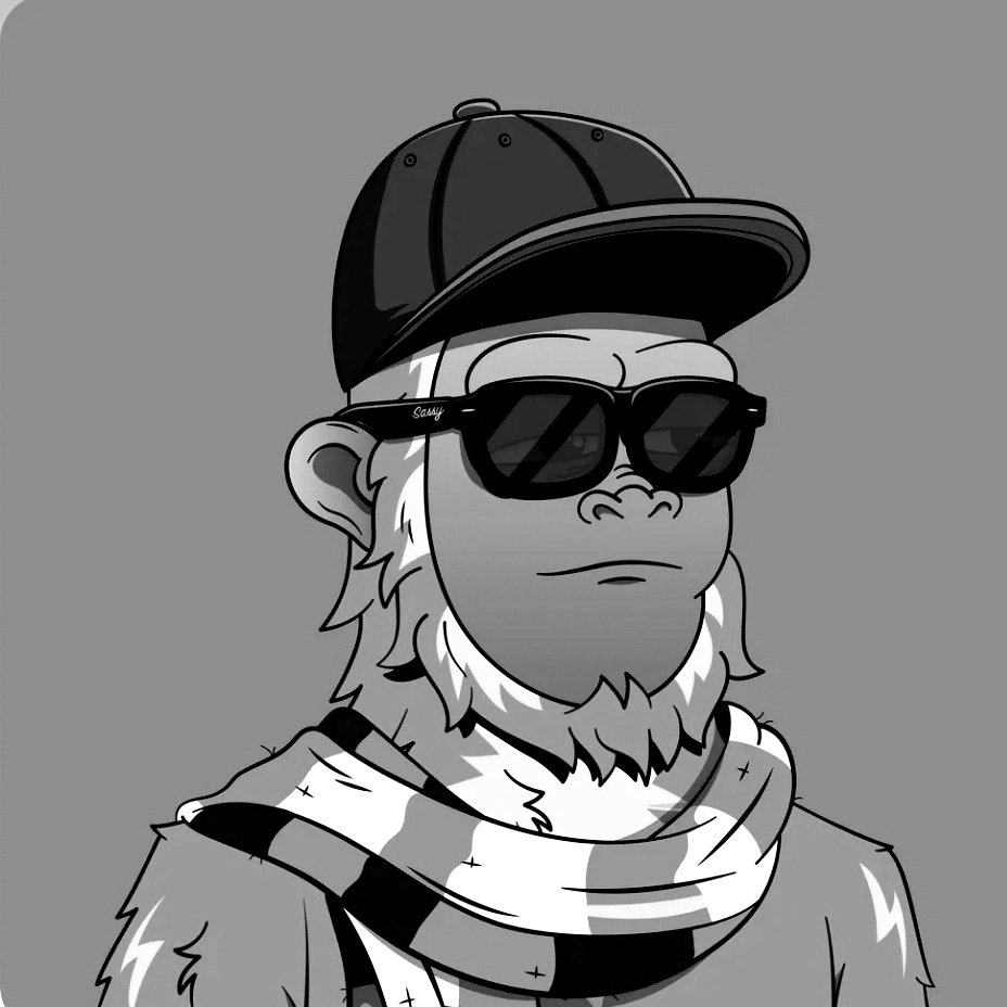 NFtalking's tweet image. #NewProfilePic #staysassy #shreddingsassy