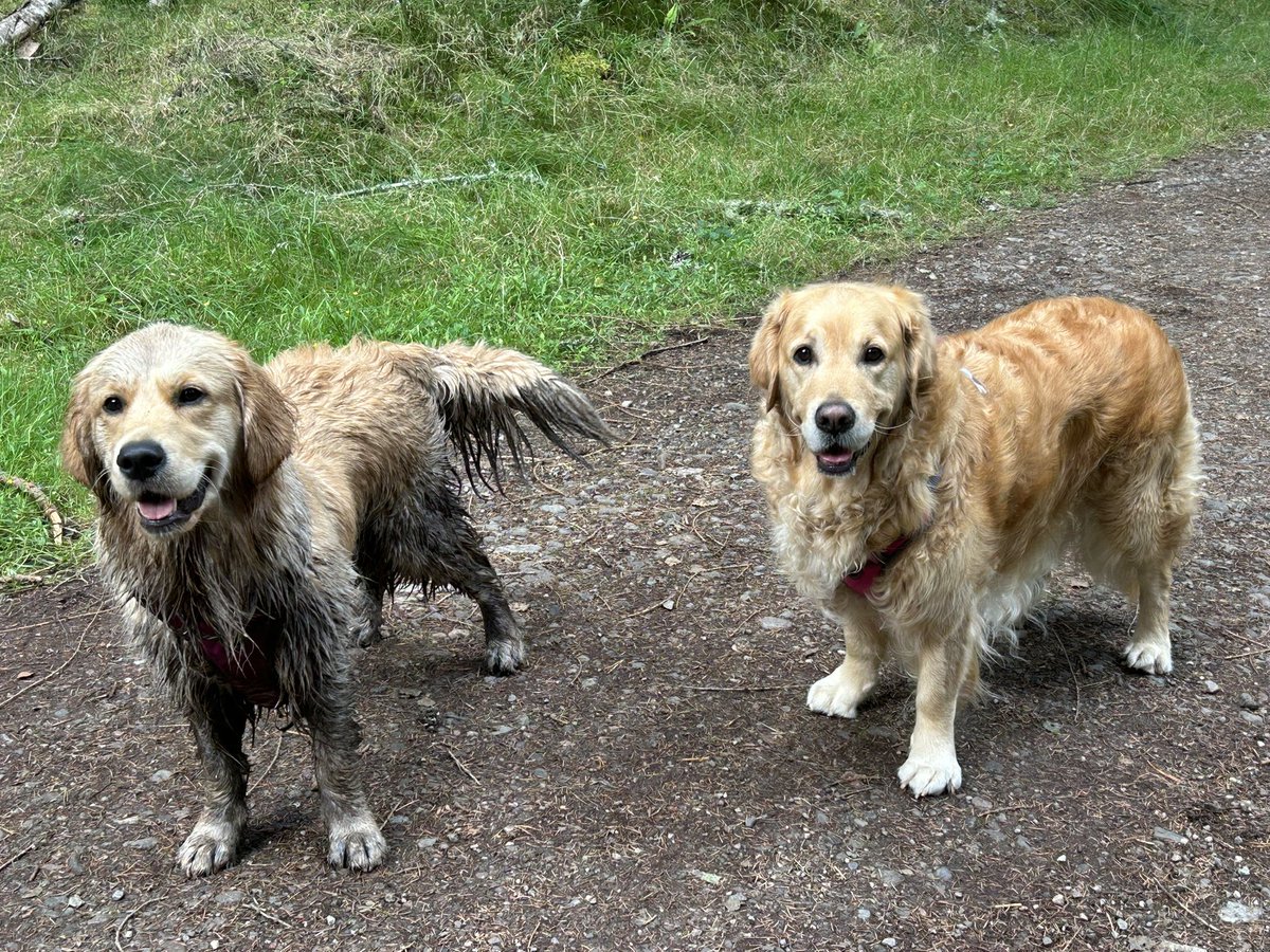 The Highland adventure begins. Guess who found a boggy pool??