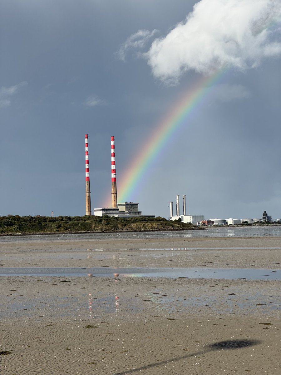 Suzanne Indja tweet media