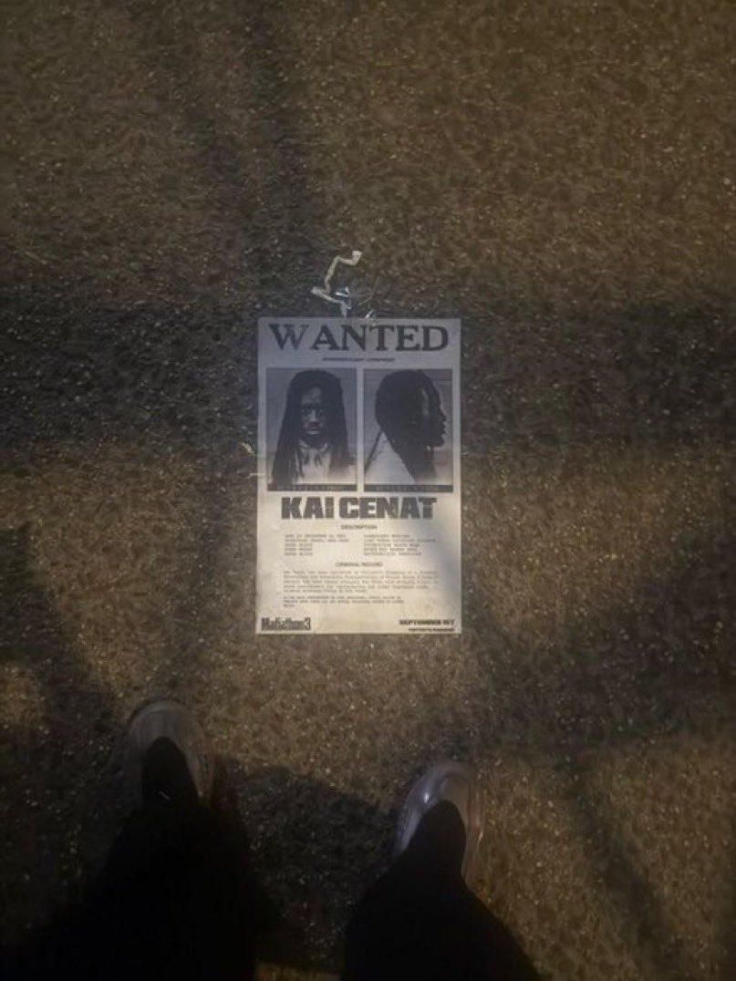 ryan 🤿 tweet media