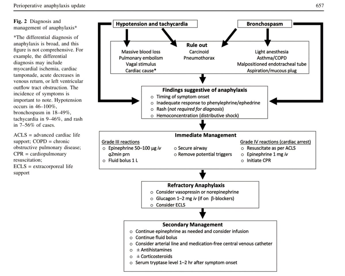 Anafilaxia  perioperatoria:  una  actu alización  sobre  fisiopatología,  diagnóstico  y  tratamiento. Por la revista canadiense de anestesiologia. 
Can J Anesth/J Can Anesth (2025) 72:649–674 doi.org/10.1007/s12630… 
#anestesia #anafilaxia #medicine #pediatria #ginecologia