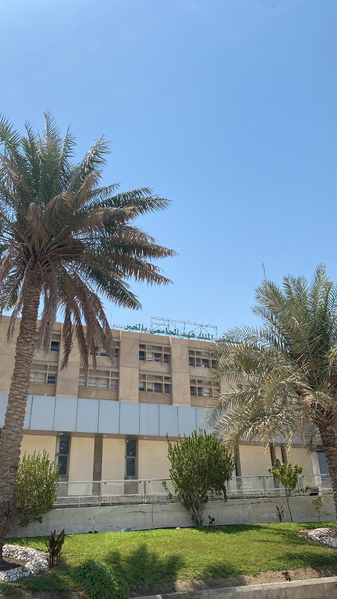 رُشـد 🌼🎓 tweet media
