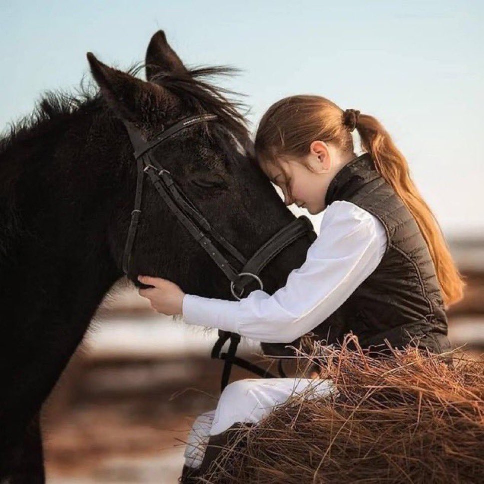 أحيانا نحتاج
إلى لحظة هدوء إلى هدنة مع الحياة
إلى صمت يكتم ضجيج الروح إلى وسادة سلام تسند أحلامنا إلى عزلة نعيد فيها حساباتنا
تنصت لصوت العقل والقلب
لنشعر ببعض السكينة
ونستعيد أنفاس الأمل!!
فنحن نتجاهل الكثير
ليس لأننا لا نرى
بل لأن
القلب ارتوى مما رأى

ꗚꖒꦿꦹᬊ༊✿ #سارهـ 🕊️