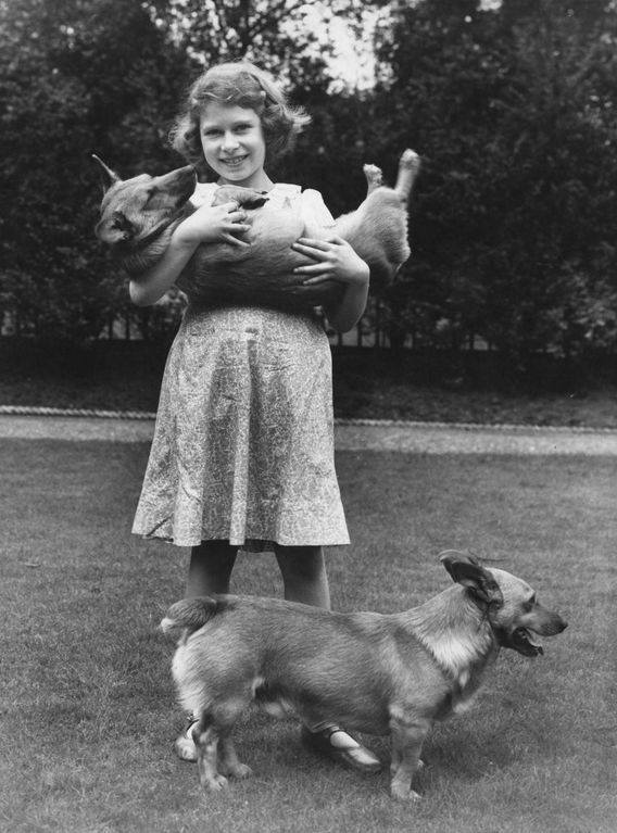 BrutusMaximusX's tweet image. Happy National Dog Day! 🐾
Queen Elizabeth II with her dogs over the years✨🇬🇧
Last photo "Sandy and Muick" IYKYK 📆🥹
#BRF #NationalDogDay #QueenElizabeth
