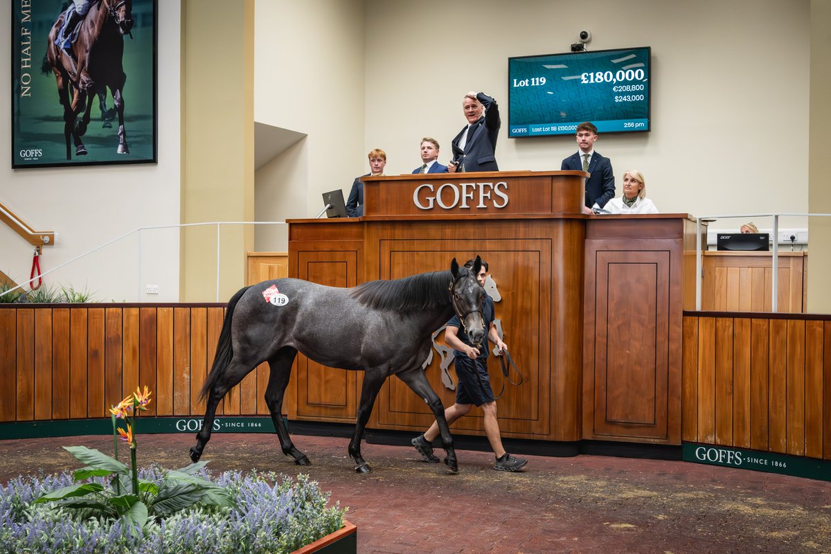 Goffs UK tweet media