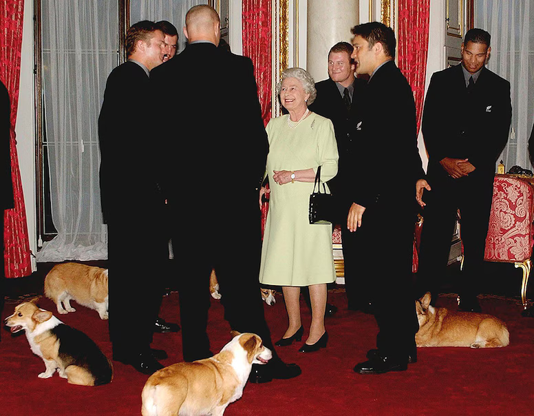 BrutusMaximusX's tweet image. Happy National Dog Day! 🐾
Queen Elizabeth II with her dogs over the years✨🇬🇧
Last photo "Sandy and Muick" IYKYK 📆🥹
#BRF #NationalDogDay #QueenElizabeth