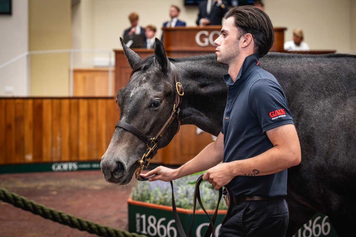 Goffs UK tweet media