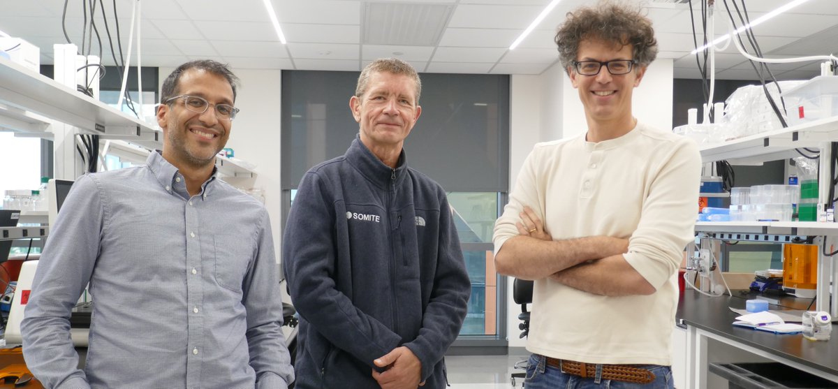 CellularIntelHQ's tweet image. It’s been a remarkable summer at Somite: our labs and offices have been overflowing with scientific energy. We’ve had the privilege of hosting Olivier Pourquié (@harvardmed) , Allon Klein (@harvardmed, @KleinLabHMS), and Arjun Raj (@upenn, @arjunrajlab) on sabbatical - each…