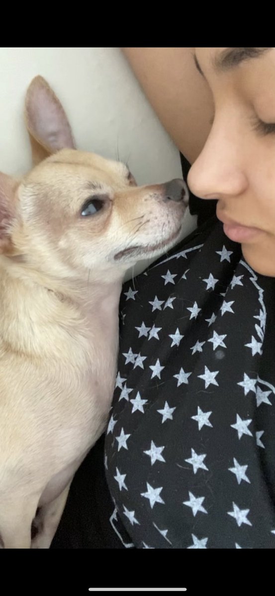 Jessica Jarrell tweet media