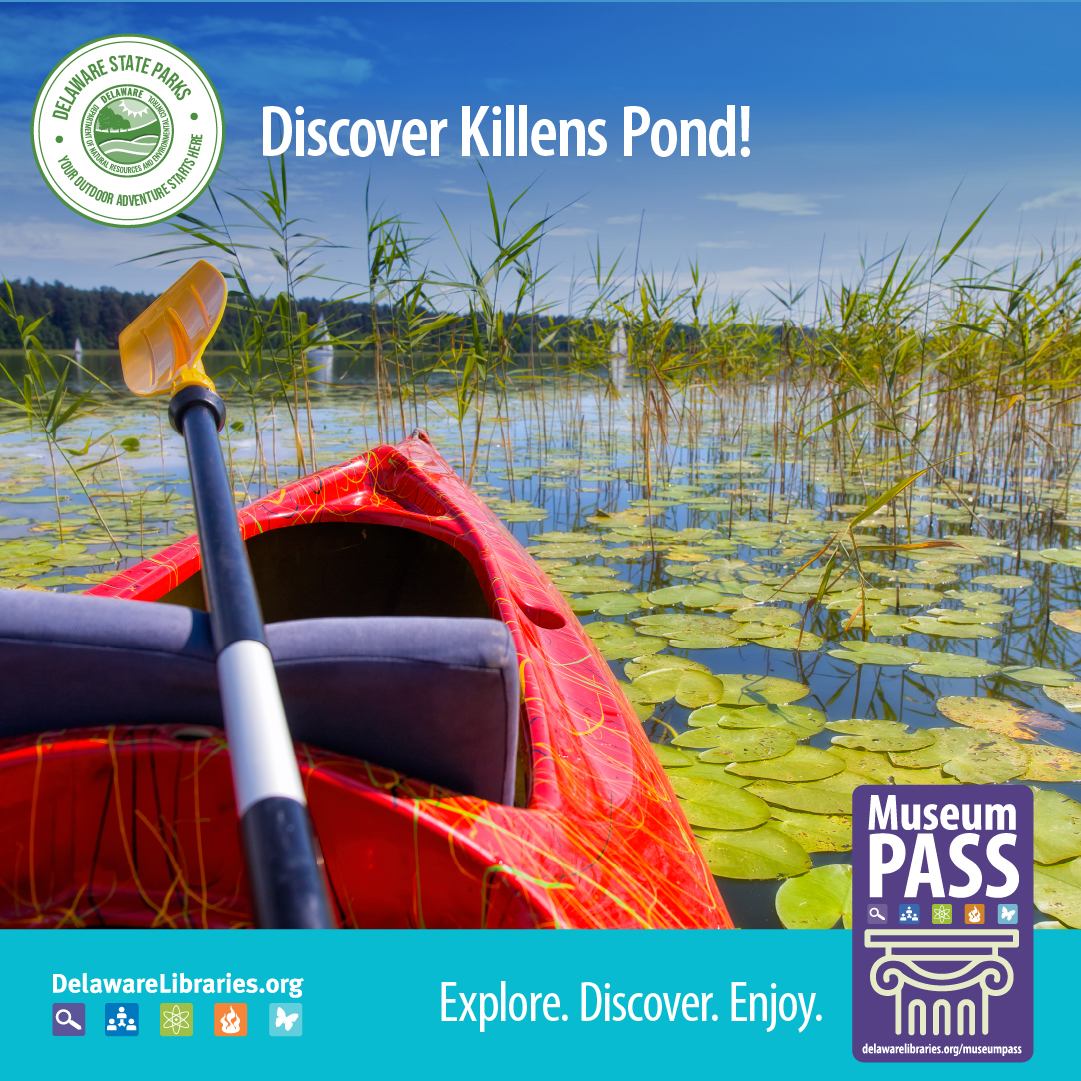 DELibraries's tweet image. Did you know the Museum Pass Program from Delaware Libraries also works at Delaware State Parks! Learn more and get your pass to summer fun! Explore. Discover. Enjoy! delawarelibraries.org/museum #delibraries #delawarelibraries #museum #explore #discover #netde #didyouknow