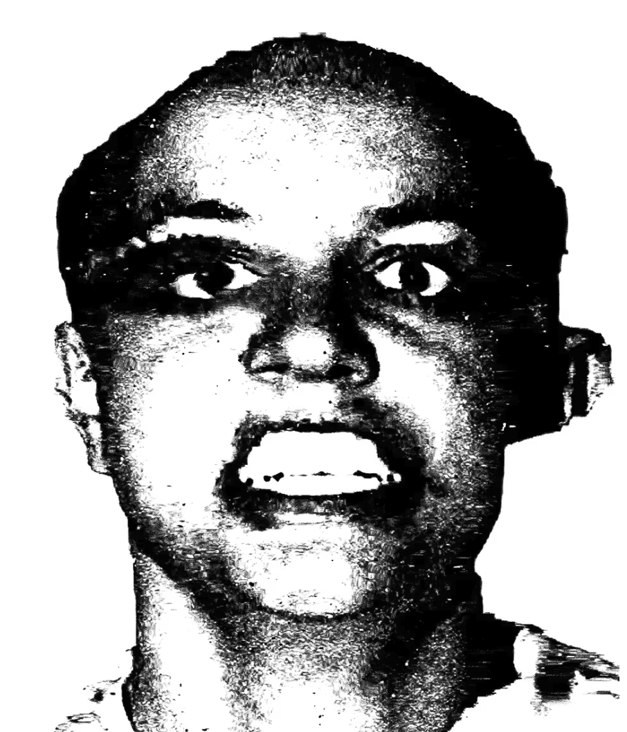 In the near future, Art PFPs will be one of the most treasured assets for digital natives  

We are so ridiculously early