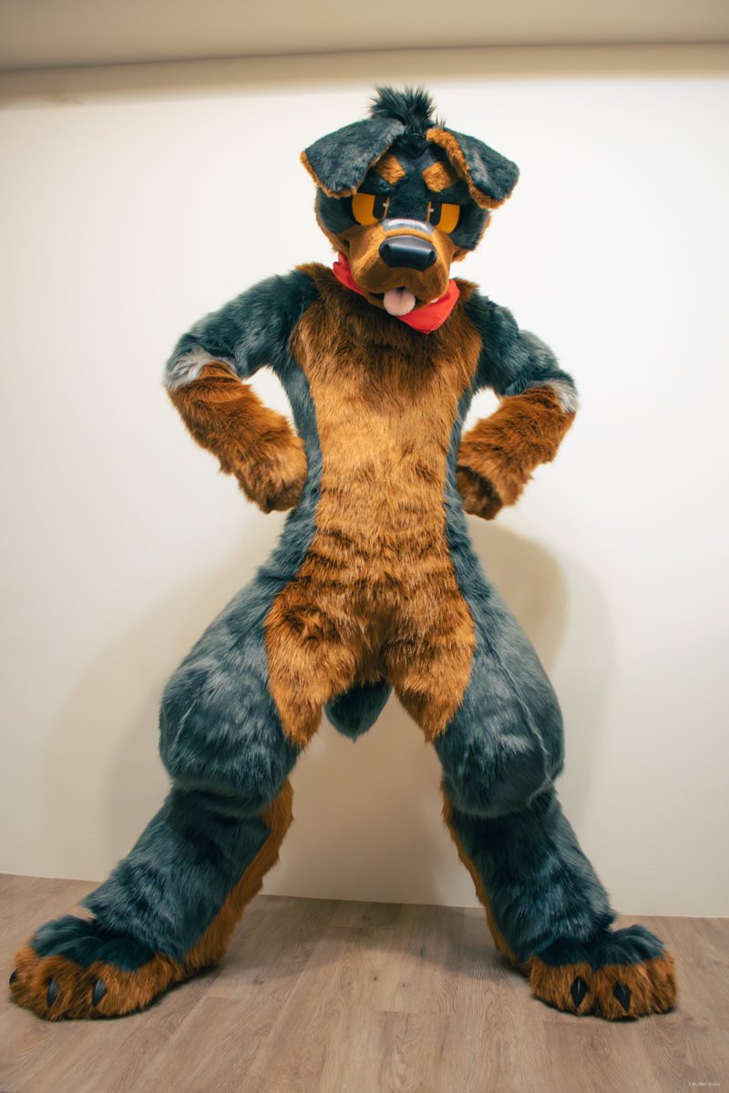 Time for walkies?🦮❗️