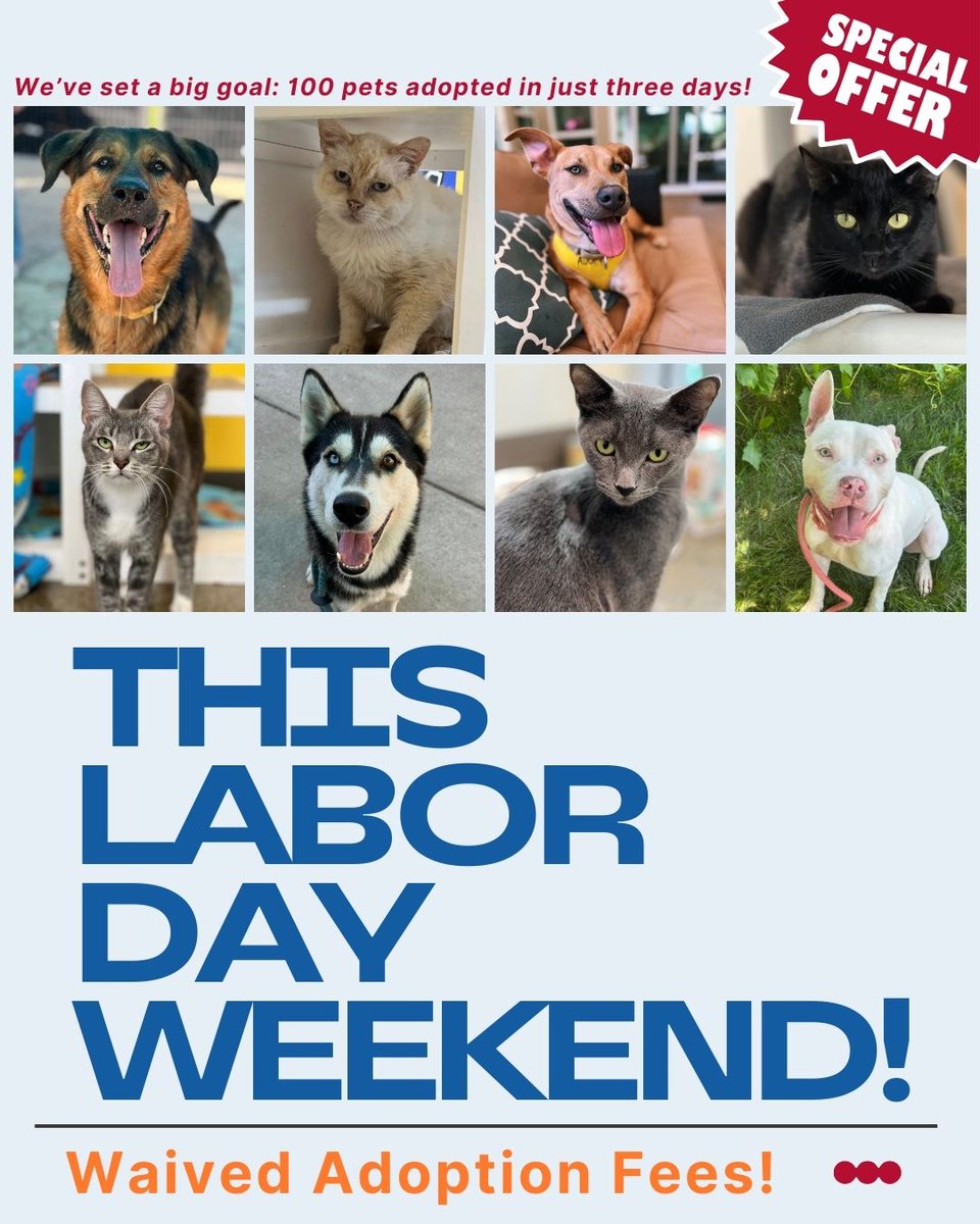 Find your forever friend this Labor Day weekend at Bradshaw Animal Shelter! From Friday, August 29 through Sunday, August 31, all adoption fees are waived.

We’ve set a big goal: 100 pets adopted in just three days! Last year, 75 pets went home—this year, let’s do even more.