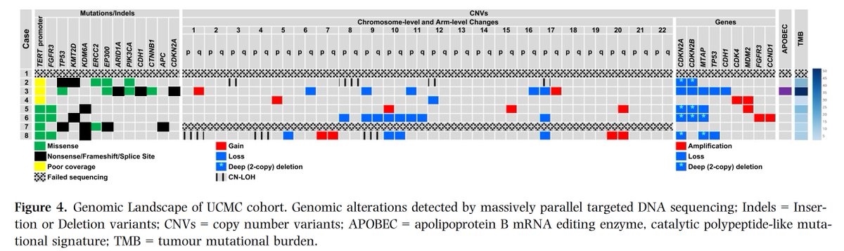 Ting Zhao, MD tweet media