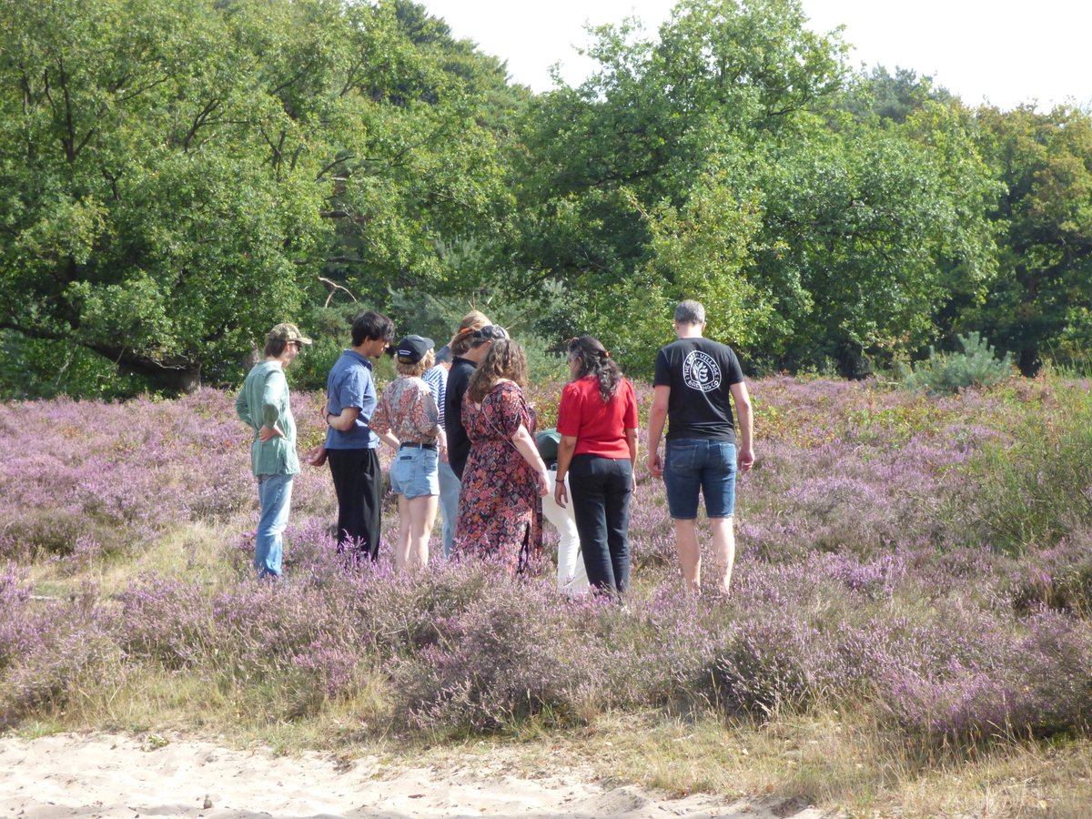 Hollandse luchten en bloeiende heide! Genieten voor dat het weer slecht wordt. @Hilversum vanmiddag.

<a href="/marjondehond/">Marjon de Hond</a> <a href="/WilliamHuizinga/">William Huizinga</a> <a href="/weeronline/">Weeronline</a>
<a href="/weermanrobert/">➡️ Robert de Vries</a> <a href="/onwukaa/">Amara Onwuka</a> <a href="/weerverteller/">Weerverteller.nl</a>
<a href="/pictureofNL/">Mooi Nederland 🇳🇱</a> <a href="/BuienRadarNL/">Buienradar</a> <a href="/helgavanleur/">Helga van Leur ☀</a>
<a href="/Oogophilversum/">Oog Op Hilversum</a> <a href="/HartvNL/">Hart van Nederland</a> <a href="/janvissersweer/">JAN VISSER</a> <a href="/EdAldus/">Ed Aldus</a>