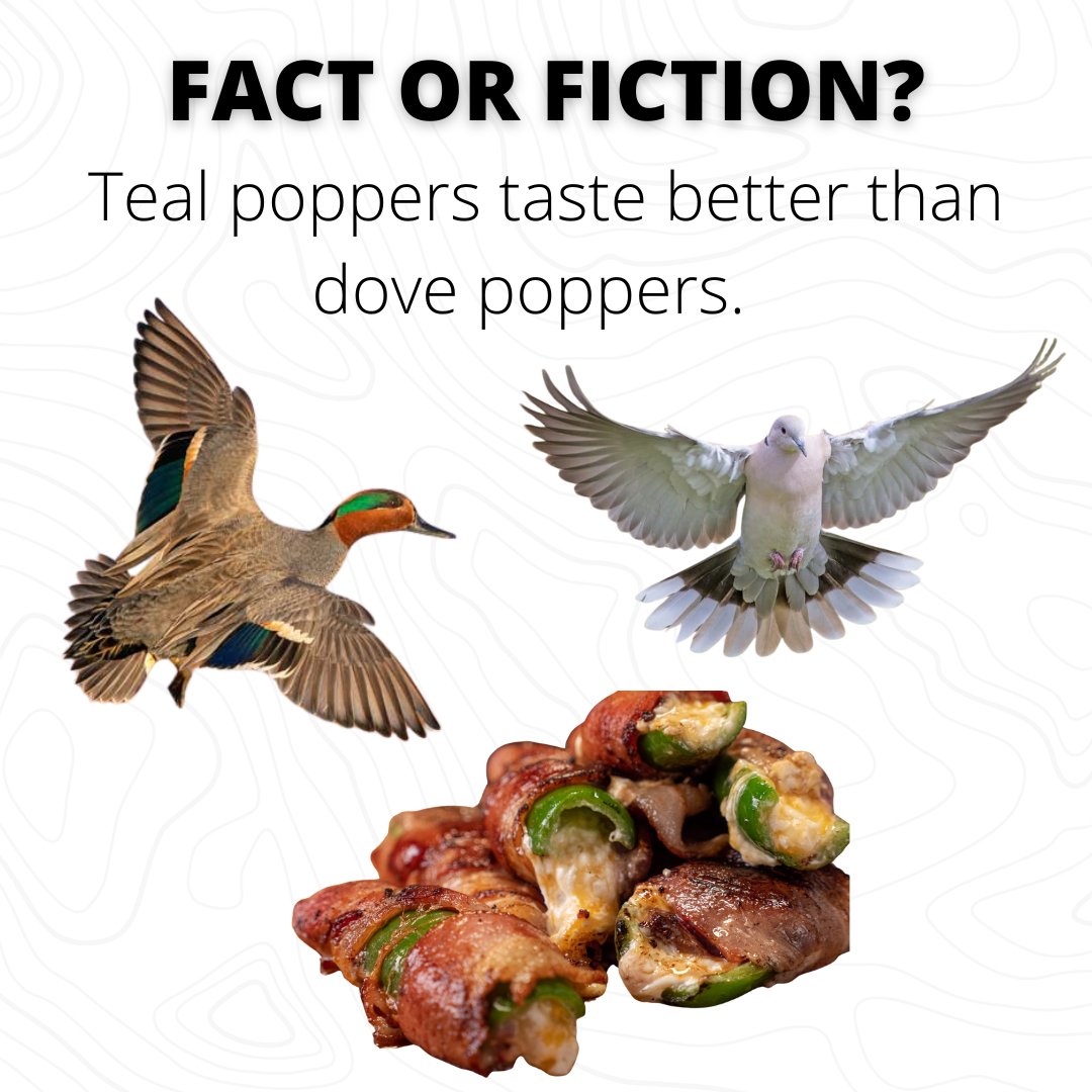 Maybe they just taste better after wading through waist high mud and fighting off condor sized mosquitoes all morning.