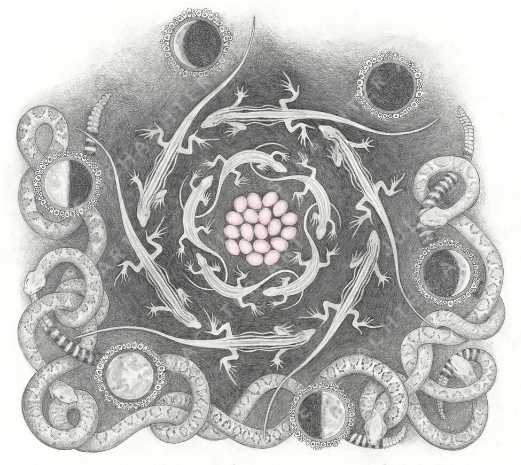 Rick Schmidt tweet media