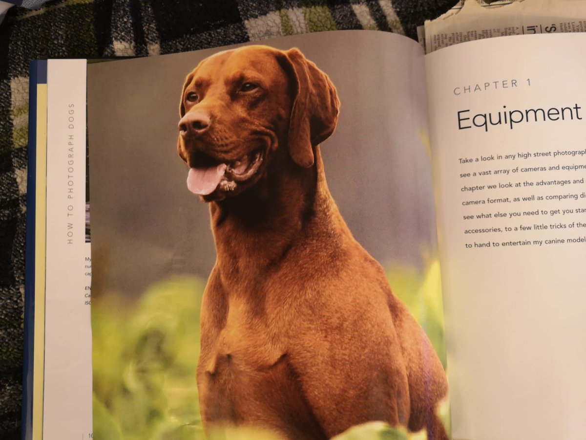 Ive been to many Crufts Shows from 2004/08  first it was an honour, then i grew 2 hate it and the people that were involved. My working dog was the only dog placed in 2 field trials we did 4 fun, at Crufts the breeders complained about him and even withdrew because he beat them.