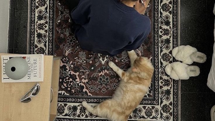 𝑀𝐽 ♱⊹ ࣪ ˖ tweet media