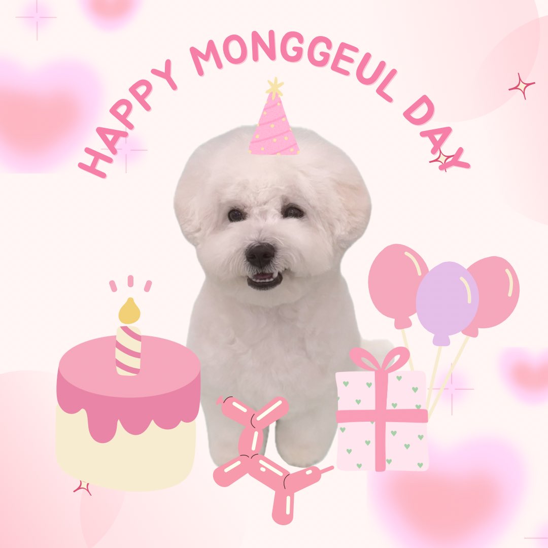 HAPPIEST BIRTHDAY FOR THE FLUFFIEST FLUFF BALL HAS EVER FLUFFED🐾

#예쁜_하얀_솜뭉치_몽글
#Pretty_White_Fluffball_Monggeul 
#Happy_Monggeul_Day #몽글