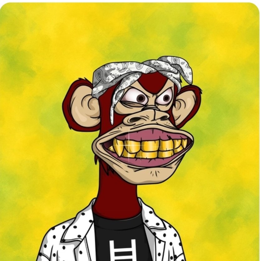 abdoul.xw3 (@abdoulxw3) on Twitter photo π₯ THANK YOU, LEGENDS! π₯
<a href="/BoredApeHedera/">Bored Ape Hedera Club</a> has officially MINTED OUT, & itβs all thanks to YOU, the strongest community on $HBAR.
From OGs to new holders, youβre part of the future of Hedera NFTs.
Welcome to the club. π¦π
More info. Soon
#HBAR #NFTCommunity #BoredApeHedera π₯ THANK YOU, LEGENDS! π₯
<a href="/BoredApeHedera/">Bored Ape Hedera Club</a> has officially MINTED OUT, & itβs all thanks to YOU, the strongest community on $HBAR.
From OGs to new holders, youβre part of the future of Hedera NFTs.
Welcome to the club. π¦π
More info. Soon
#HBAR #NFTCommunity #BoredApeHedera
