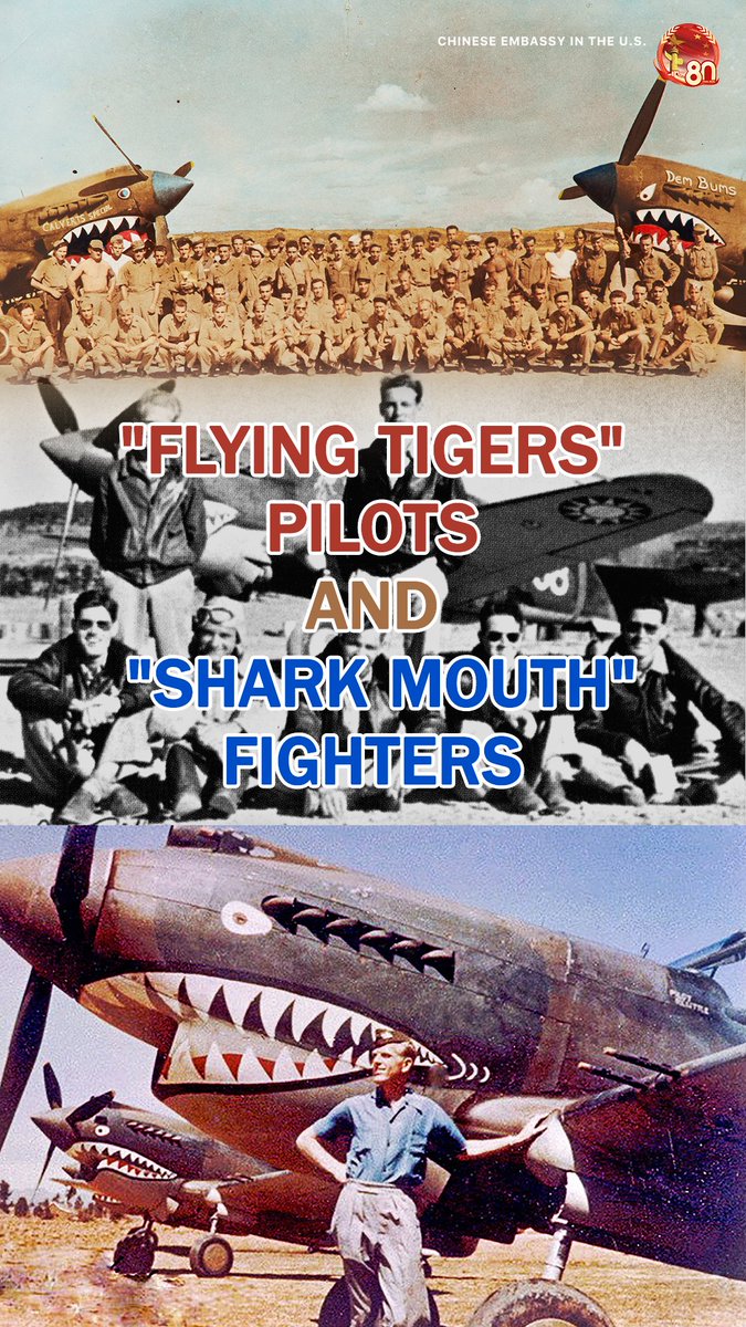 SpoxCHNinUS's tweet image. The fighters, adorned with the iconic shark face, became a symbol of courage and resilience during WWII. The Flying Tigers etched their legacy in the skies with unmatched bravery and camaraderie.✈🦈
#FlyingTigers #SharkMouth #WWIIHistory #AviationLegends #P40Warhawk