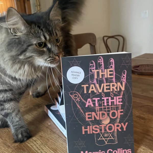 MorrisACollins's tweet photo. Galleys dropped! My weird novel abt art, the angels of history, Kabbalah, Yiddish poets, a dybbuk, &amp; the dangers of trauma narratives. I pitched it (not well) as a Jewish Magic Mountain, but shorter. It's a strange book &amp; I can't wait to share it with you. Feb 10th from Dzanc. https://t.co/fiL49JdFUW