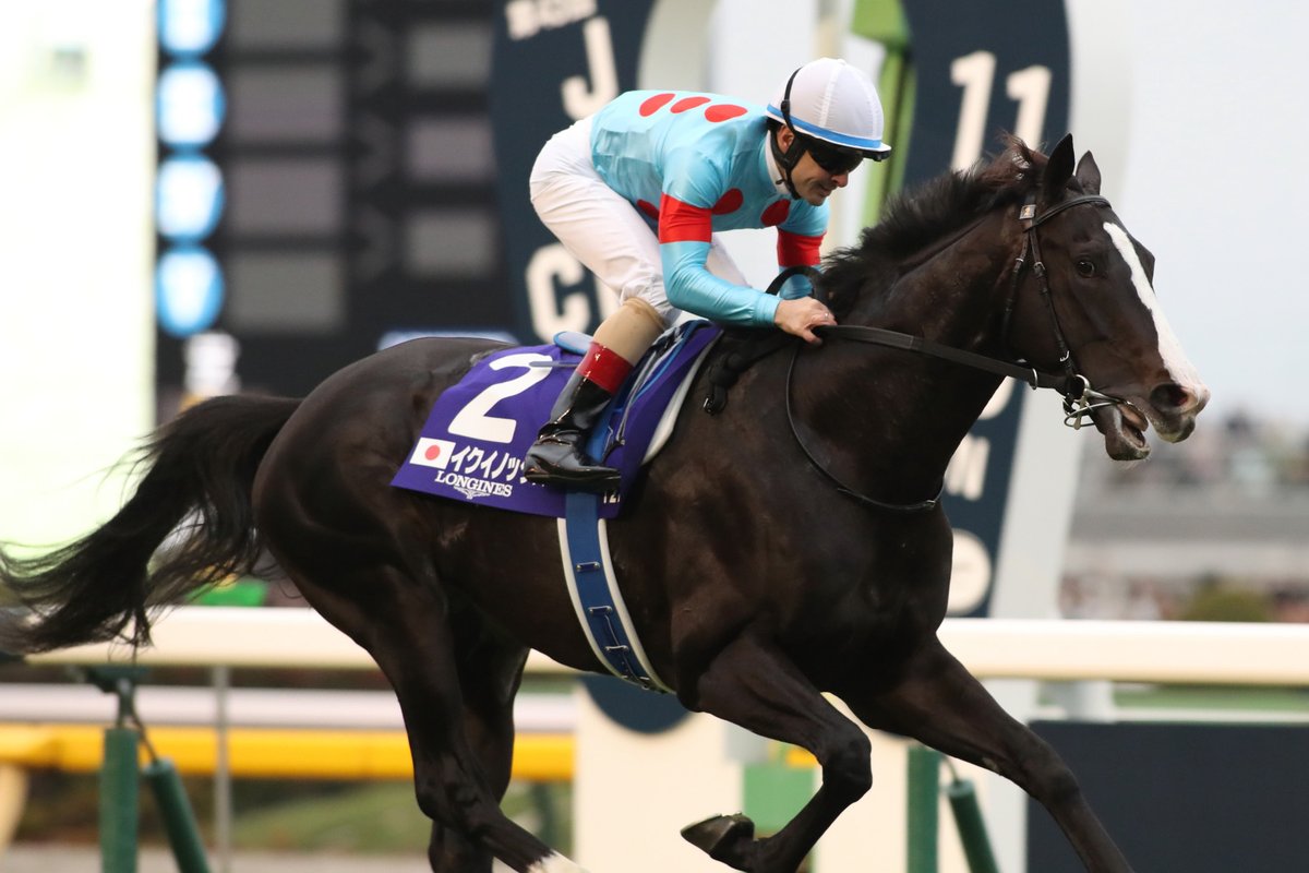 イクイノックス実使用調教蹄鉄鬣一本付き②