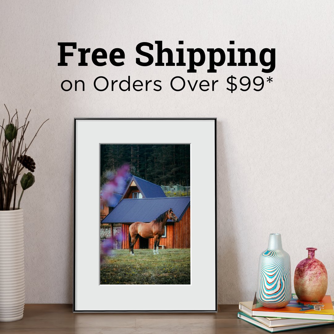 AmericanFrame's tweet photo. Labor Day made easy 🎉 

Free shipping on orders over $99* now through 9/10. Don’t wait, shop today! 🖼️

https://t.co/wEnScIOj3D

#pictureframing #pictureframes #americanframe #labordaysale https://t.co/TSYYgAbBrB