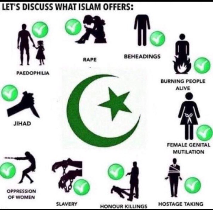 <a href="/elonmusk/">Elon Musk</a> All those Muslim countries! Better wake up ….