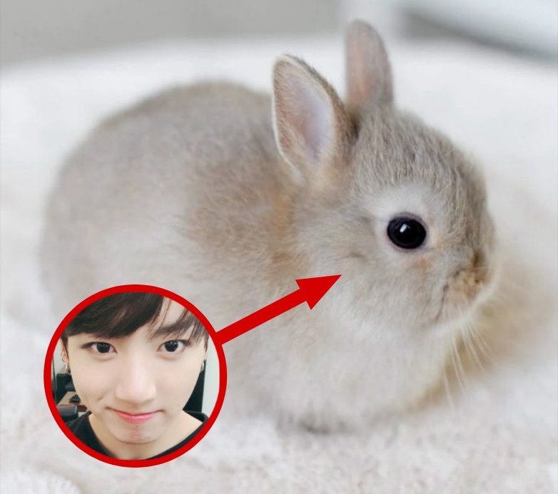 ֶָ (@kooflwre) on Twitter photo 