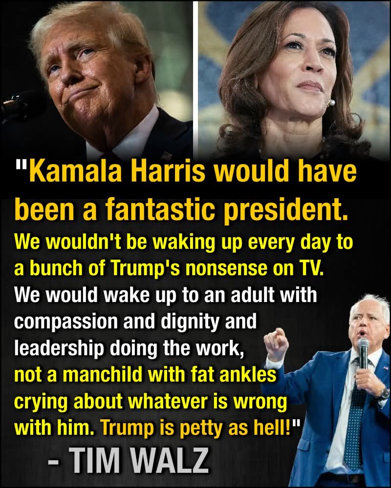 NO LIES DETECTED 💥 👇👇👇