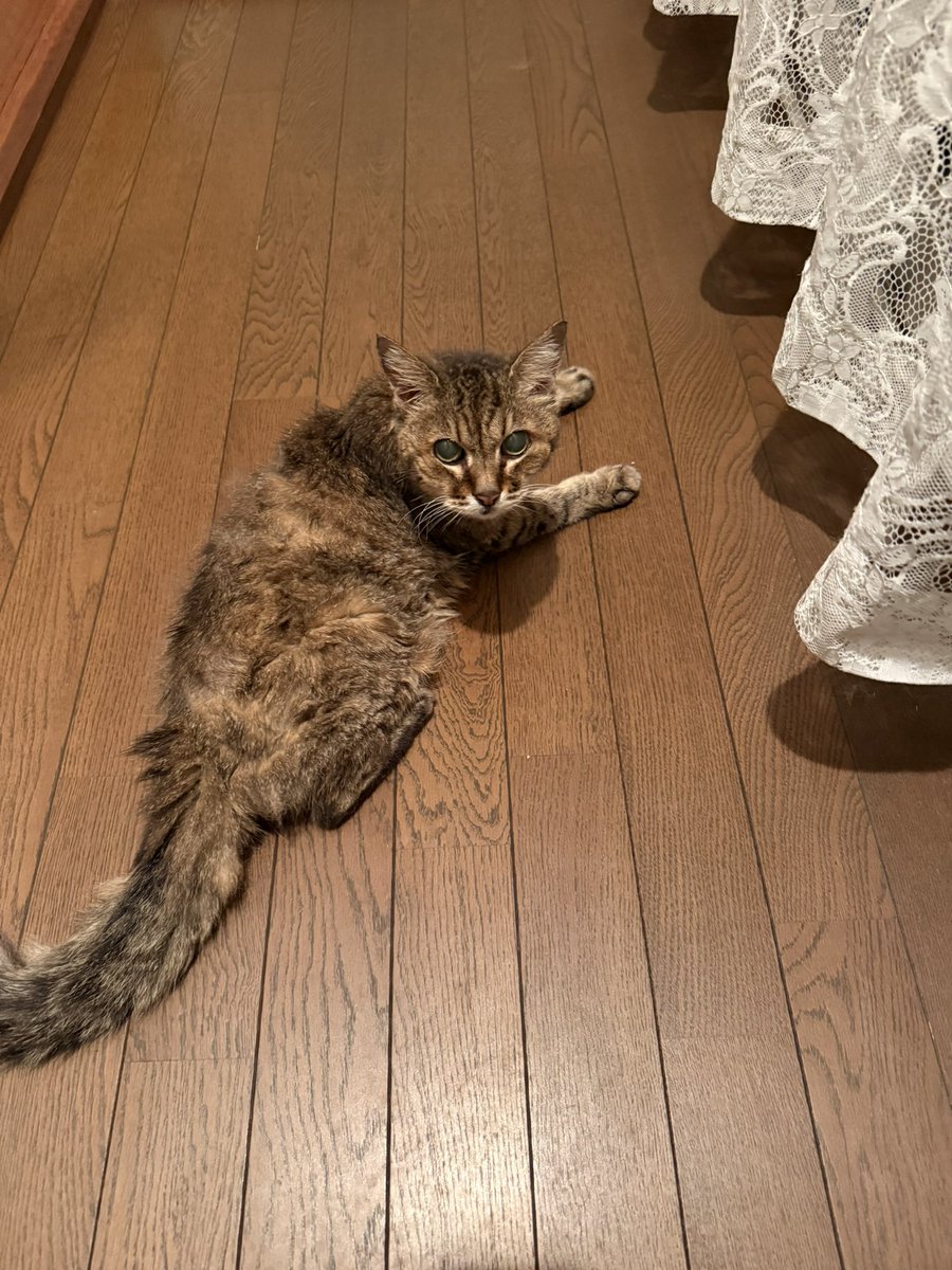 これで21才よ？美人すぎないかい🤭