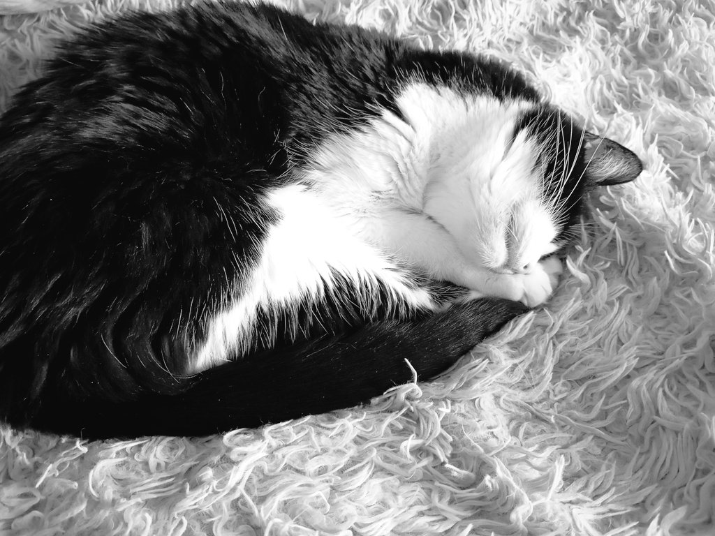 Missi Sunshine tweet media