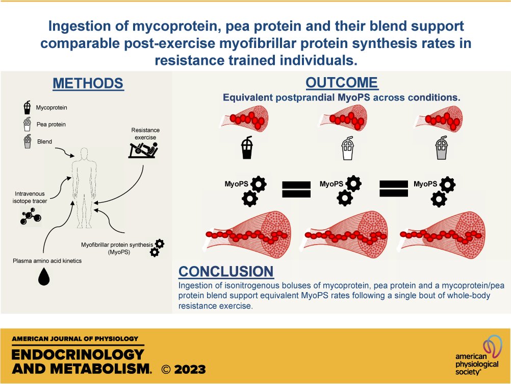 🏆 Citation Leader

Ingestion of mycoprotein, #PeaProtein, and their blend support comparable postexercise myofibrillar protein synthesis rates in resistance-trained individuals

✍🏽Sam West, et al. 

ow.ly/ZLf750WsWYy
#AJPEndoMetab #Mycoprotein #ResistanceExercise