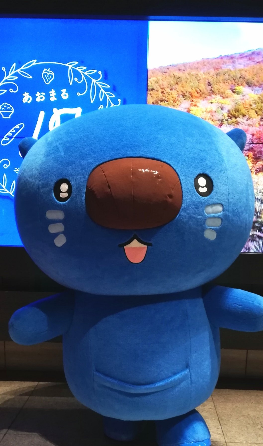 おさるさん専用 トップトッツ プッシュ＆ゴー！ おさるさん トイザらス限定